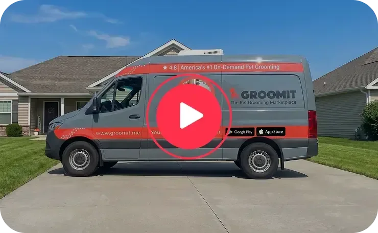 Groomit photo 2