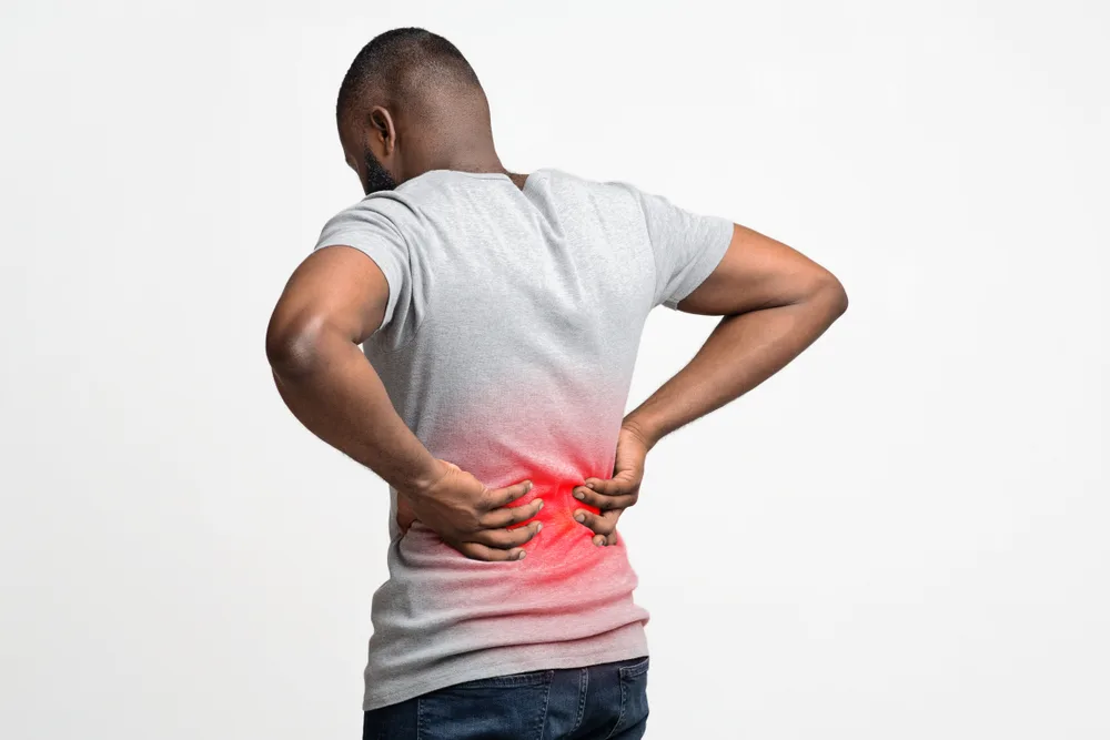 Fidi Chiropractic Wellness photo 3