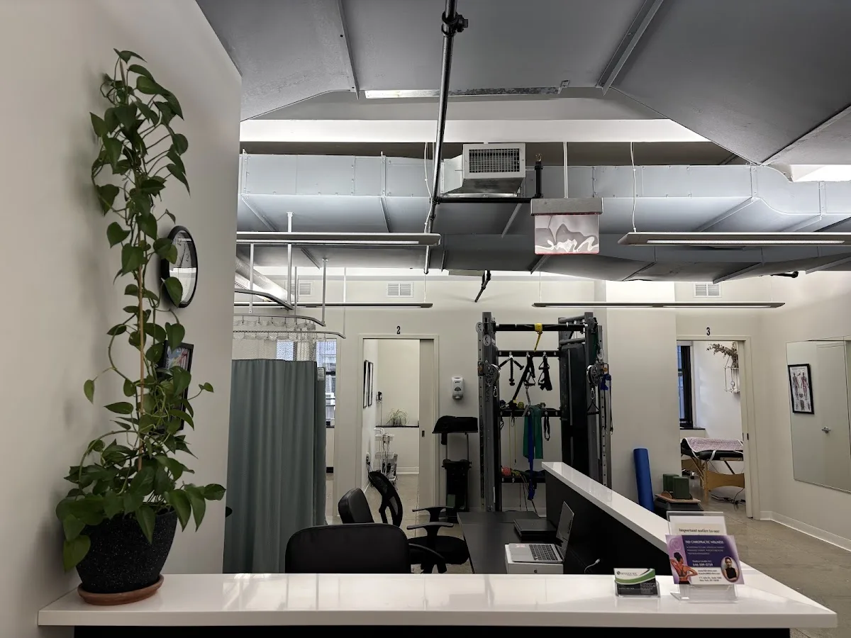 Fidi Chiropractic Wellness photo 2