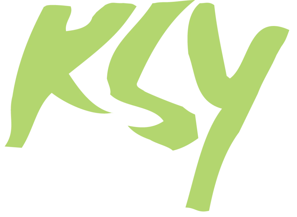 KSY Kim Sun Young Hair & Beauty Salon LA ✂ logo