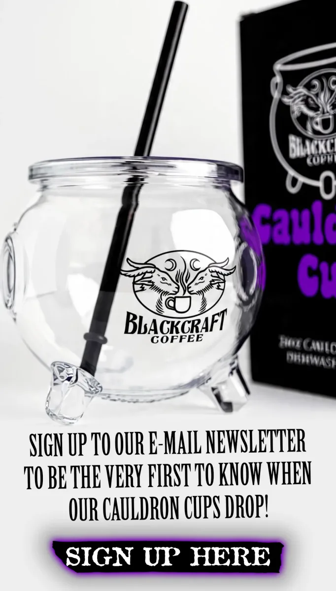 Blackcraft Coffee LA photo 9
