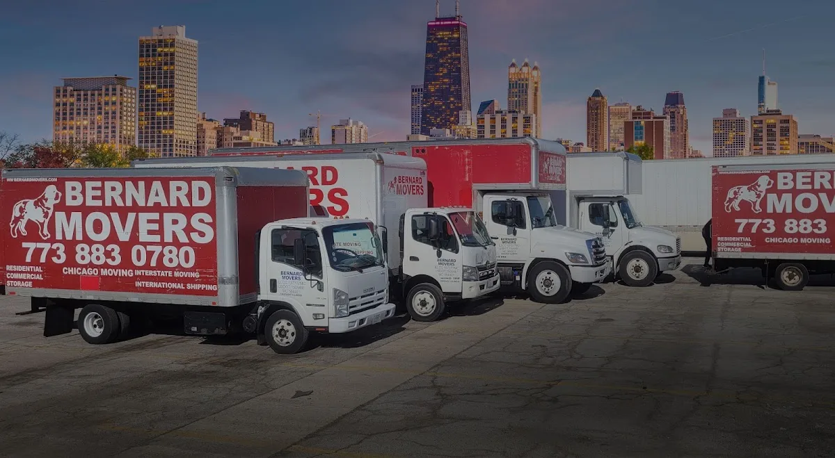 Bernard Movers photo 2