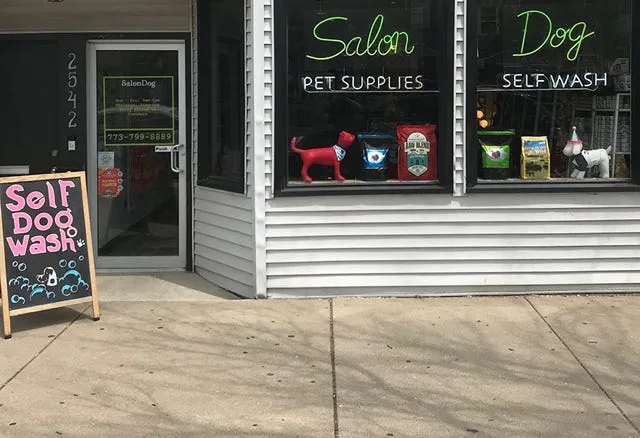 Salon Dog photo 6
