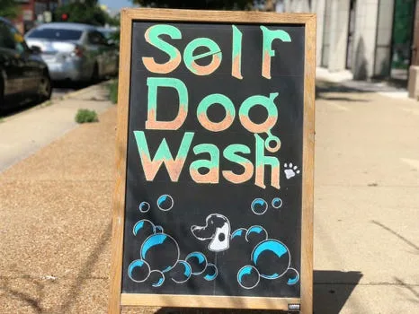 Salon Dog photo 9