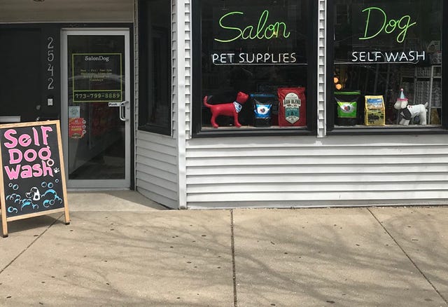 Salon Dog
