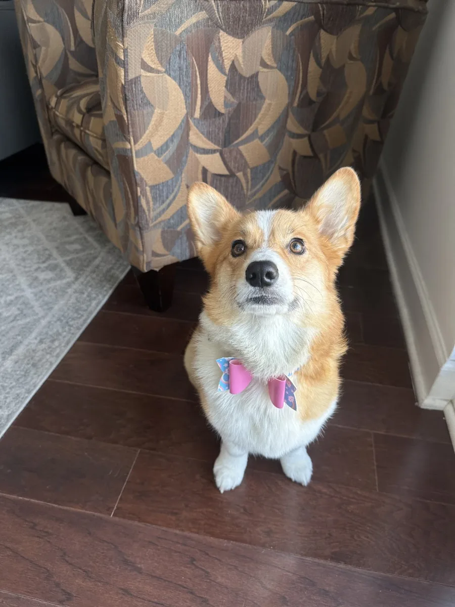Groomies photo 3