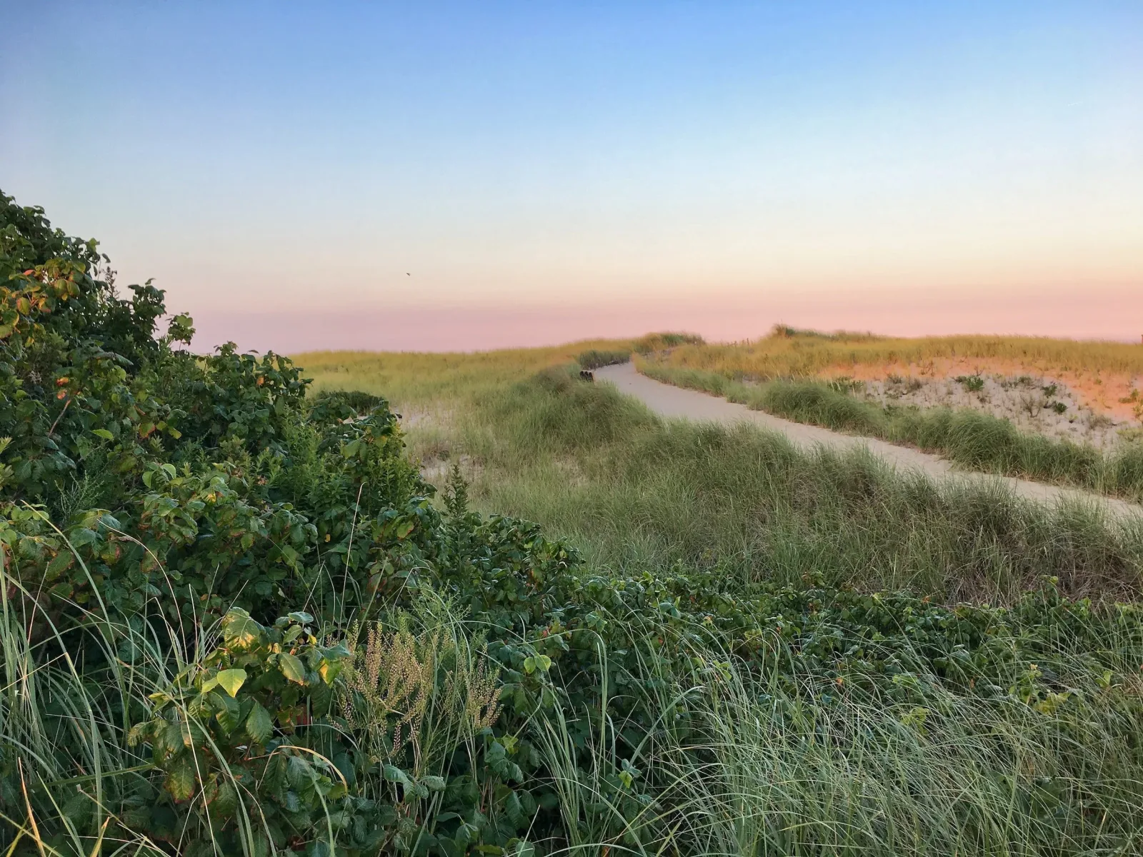 Monomoy Dental