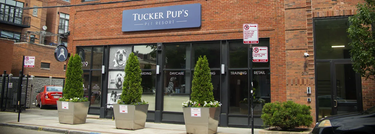 Tucker Pup's Pet Resort photo 7