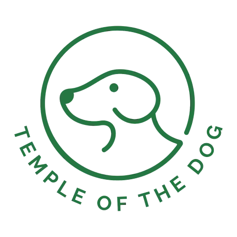 Temple of The Dog Chicago photo 10