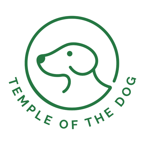 Temple of The Dog Chicago