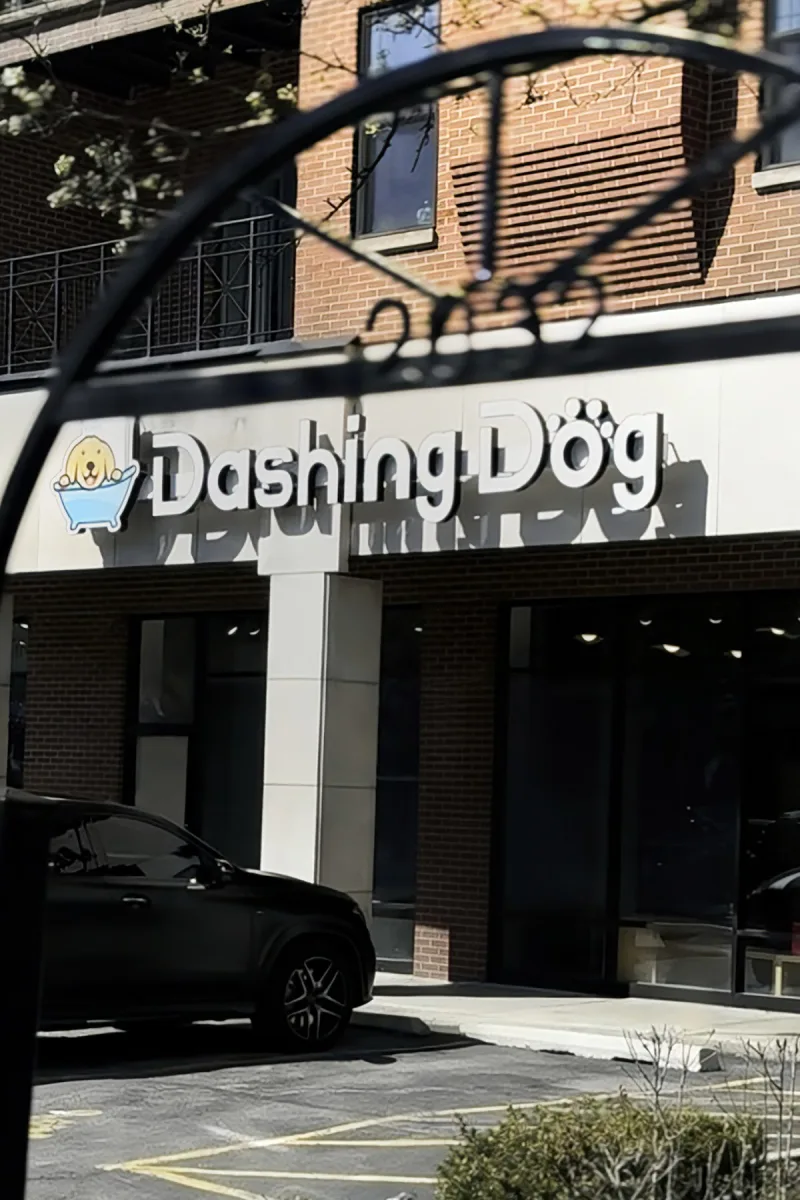 Dashing Dog - Wicker Park