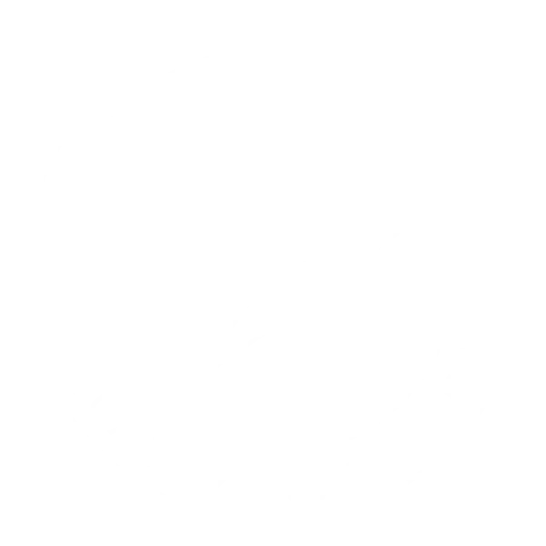 Taste of Texas photo 10