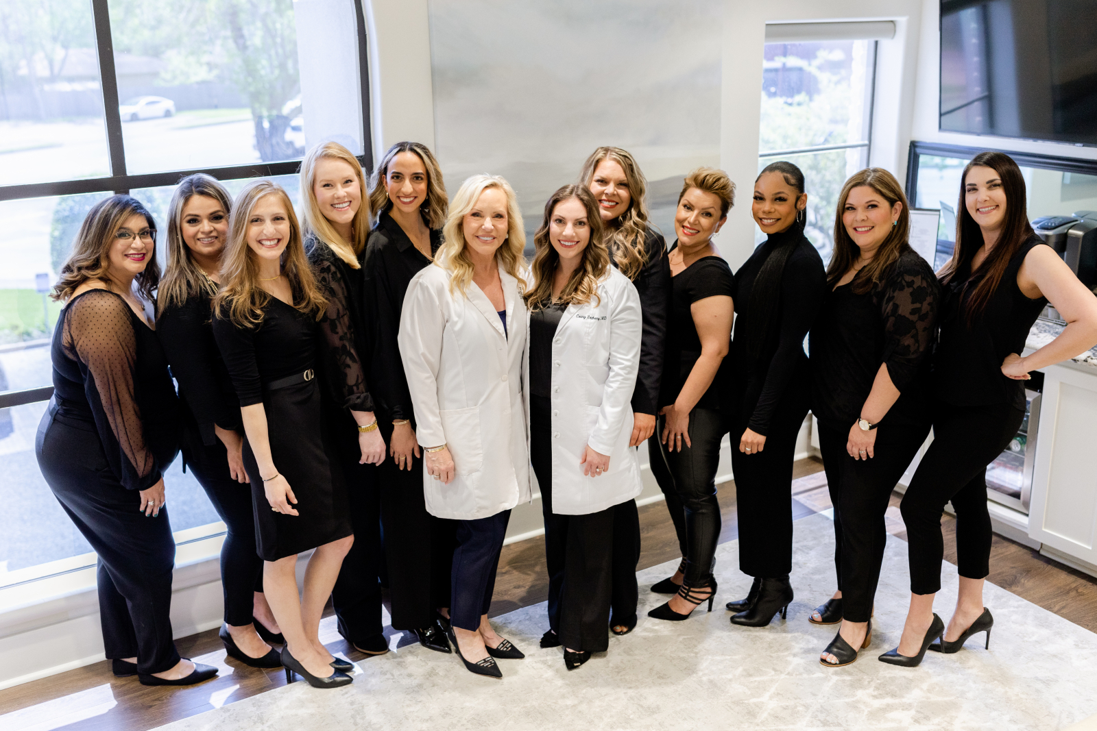 The Houston Dentists