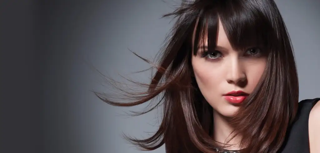 The Look Salon Houston