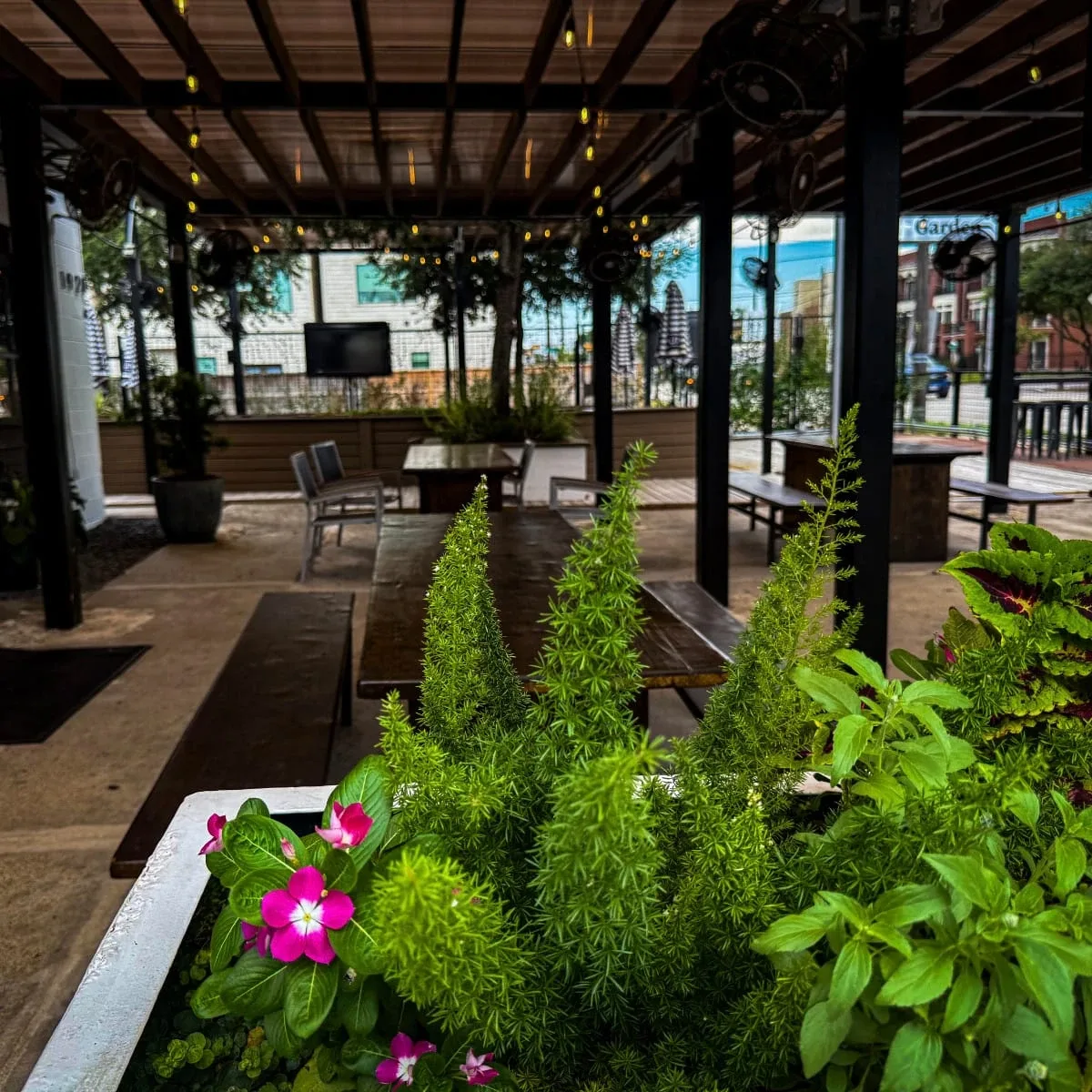 The Coffee Garden photo 5