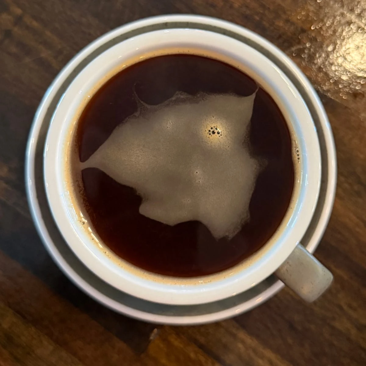 The Coffee Garden