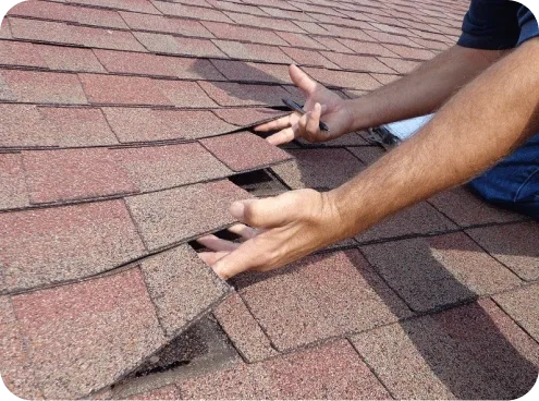 Roof Squad photo 4