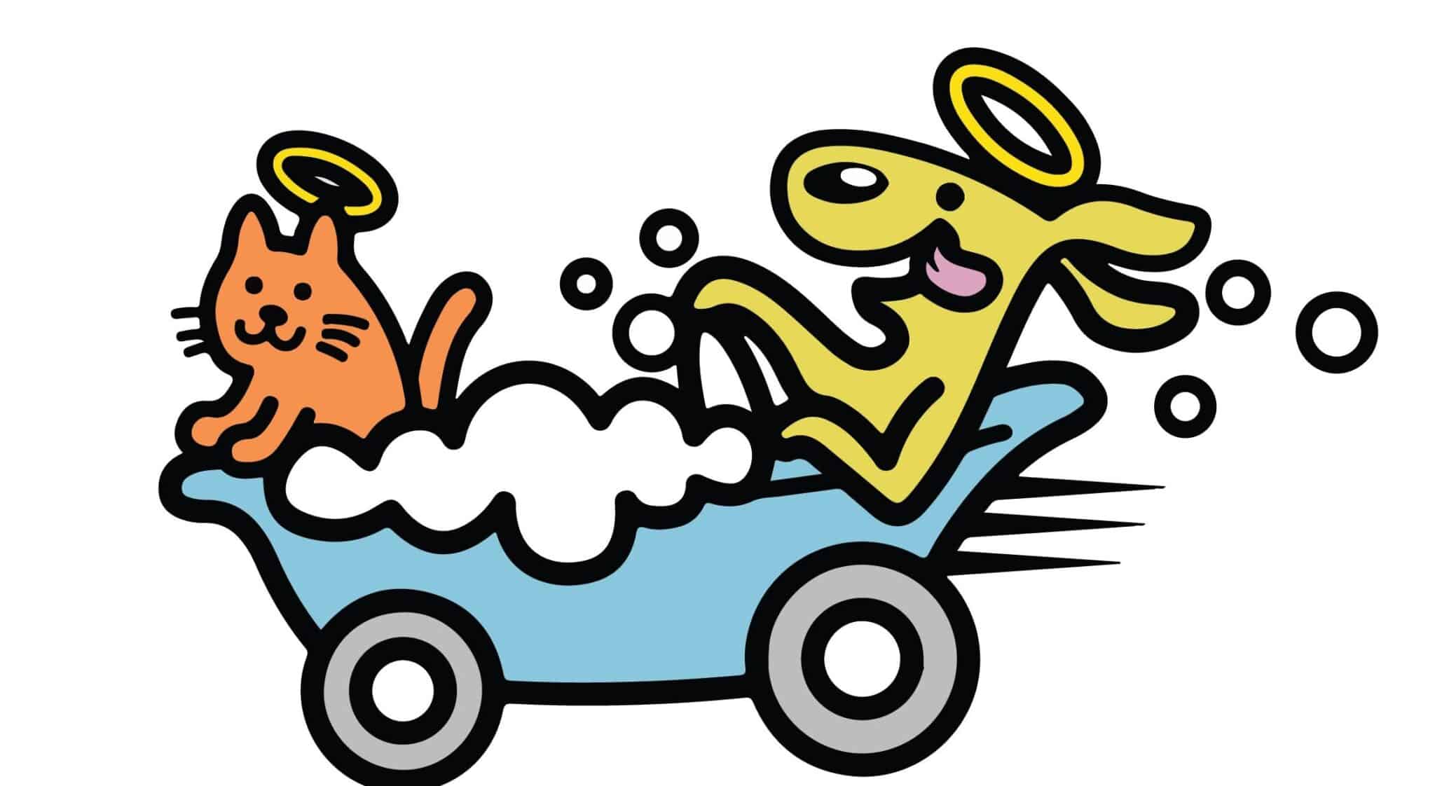 Kontota of Central Houston - Mobile Dog Grooming