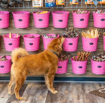 Woof Gang Bakery & Grooming Heights photo 9