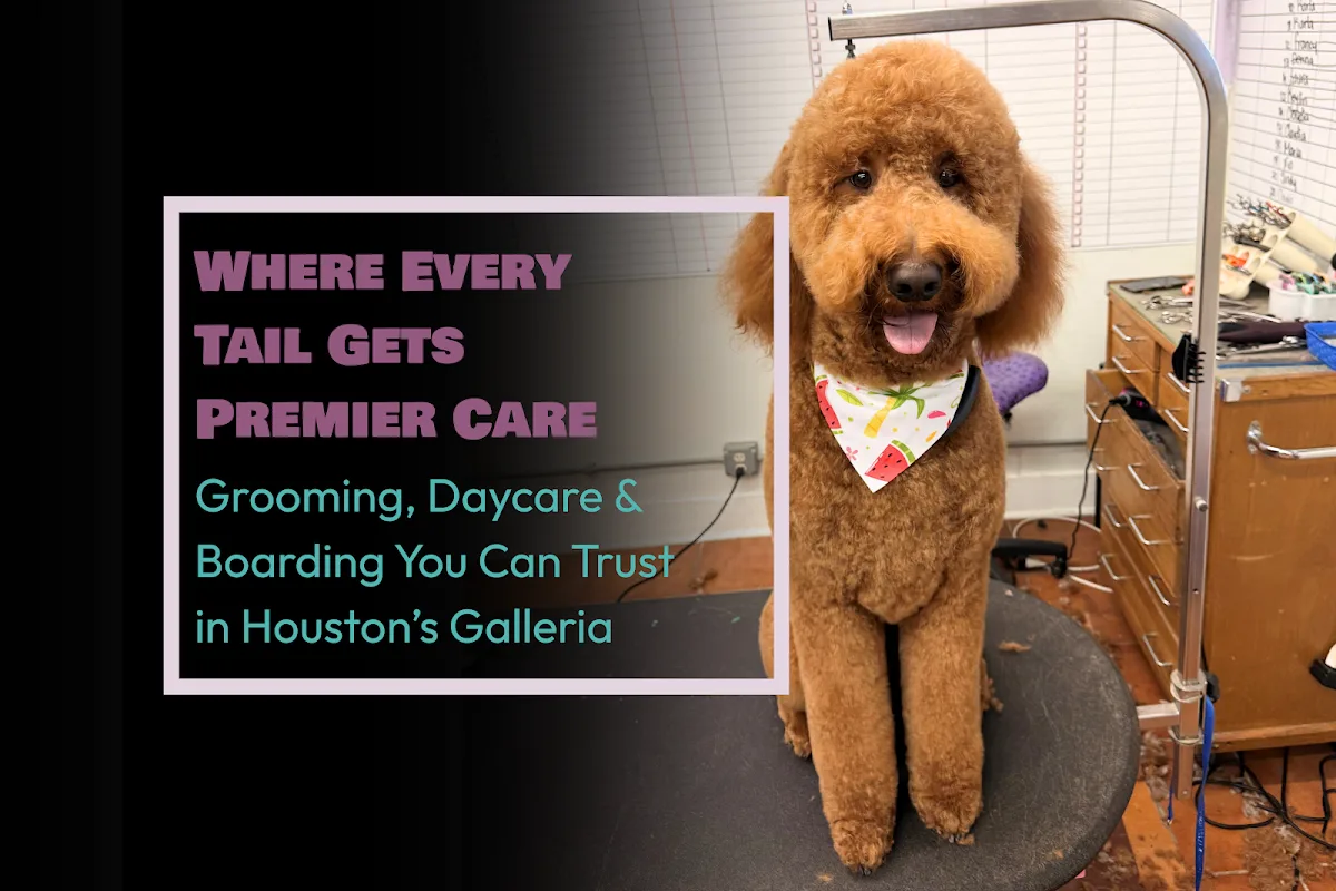 The Dog House Pet Salon - Galleria photo 3