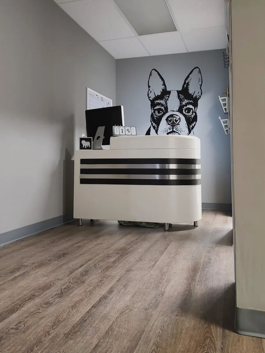 Spa 4 Pawz Grooming Studio photo 4