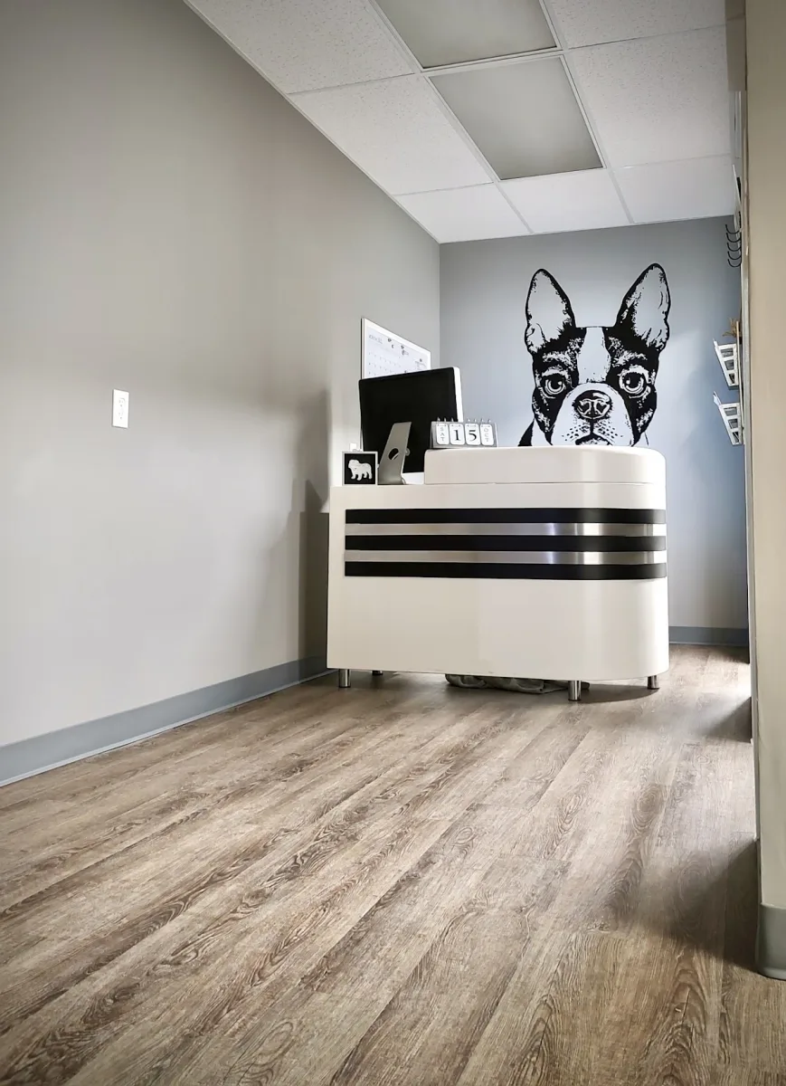 Spa 4 Pawz Grooming Studio photo 8