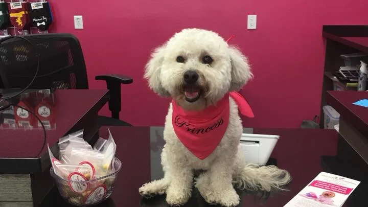 Woof Gang Bakery & Grooming West U photo 6