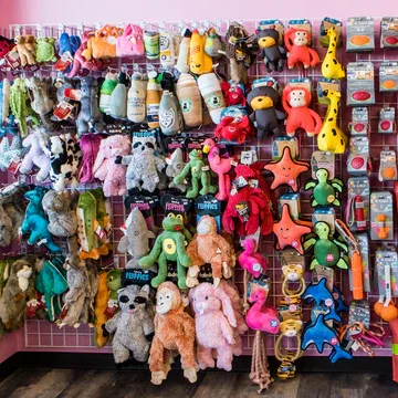 Woof Gang Bakery & Grooming West U photo 8