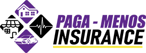 Paga-Menos Insurance logo