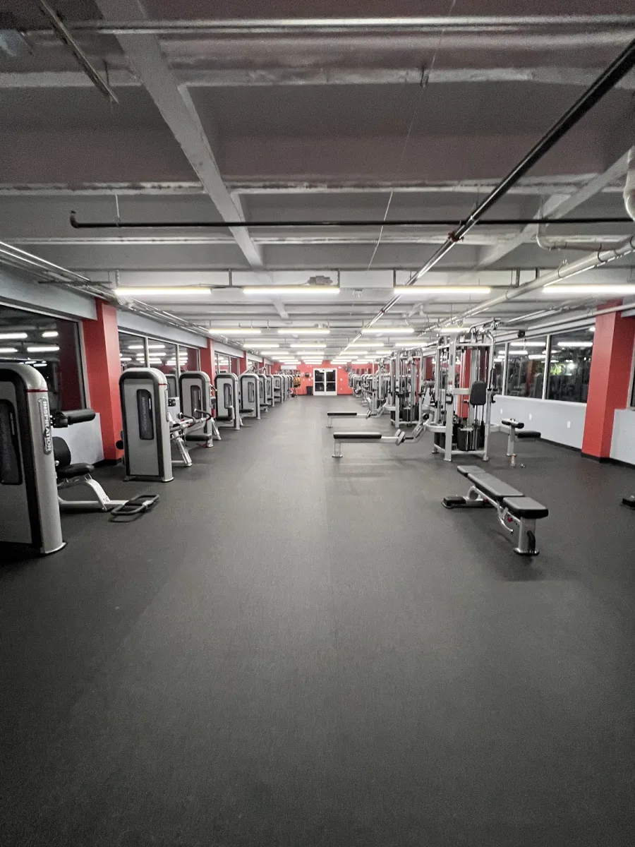 World Gym Houston