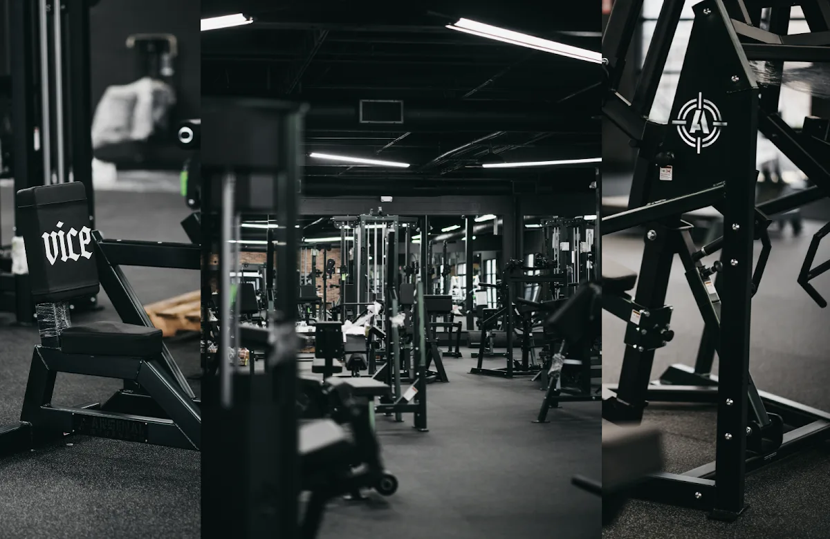 Vice Gym