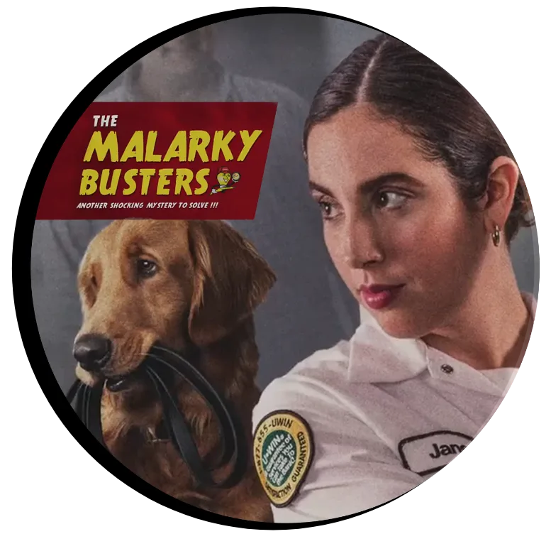 Mister Sparky® of Phoenix photo 7