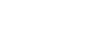 The Bizzarro Agency, New York Real Estate Agents logo