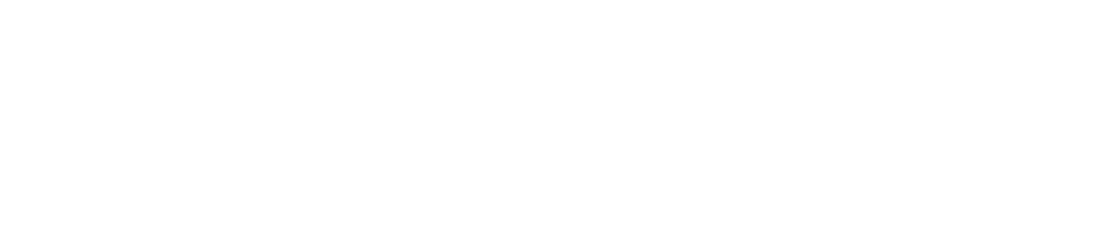 REAL New York logo