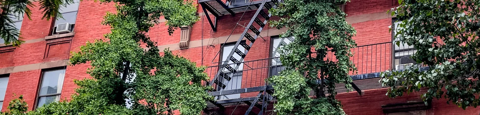 Soler Realty NYC photo 10