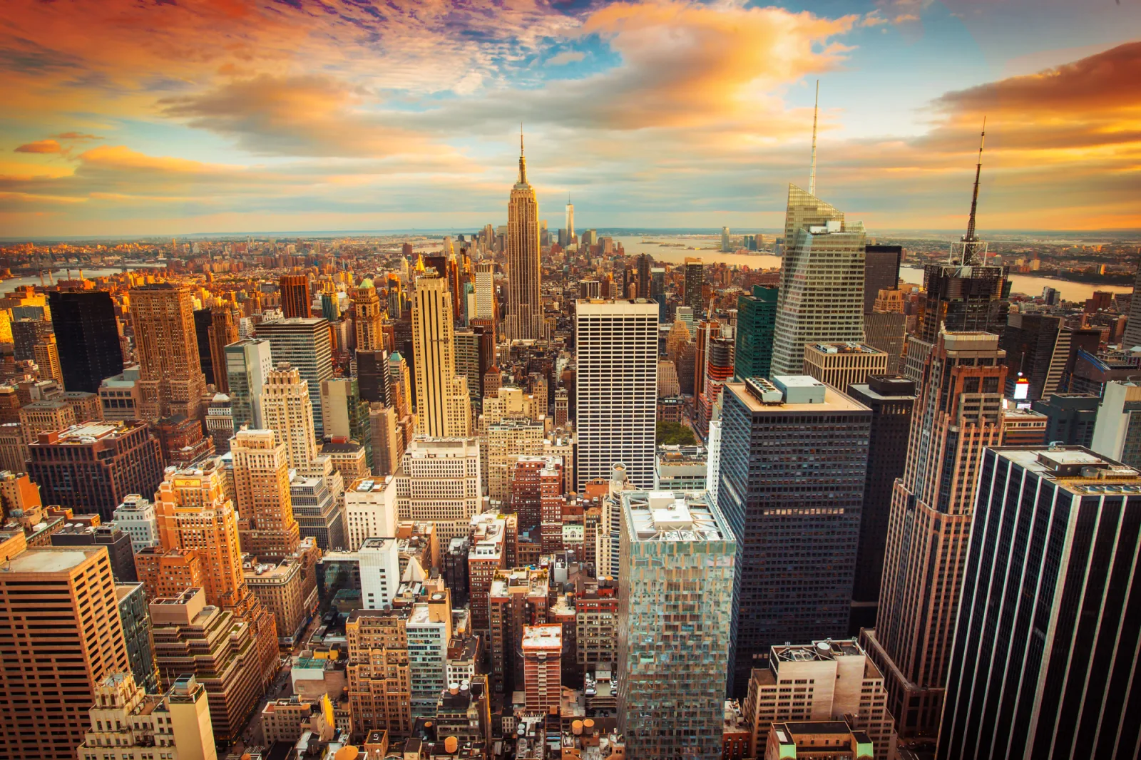 Alpha Properties NYC photo 4