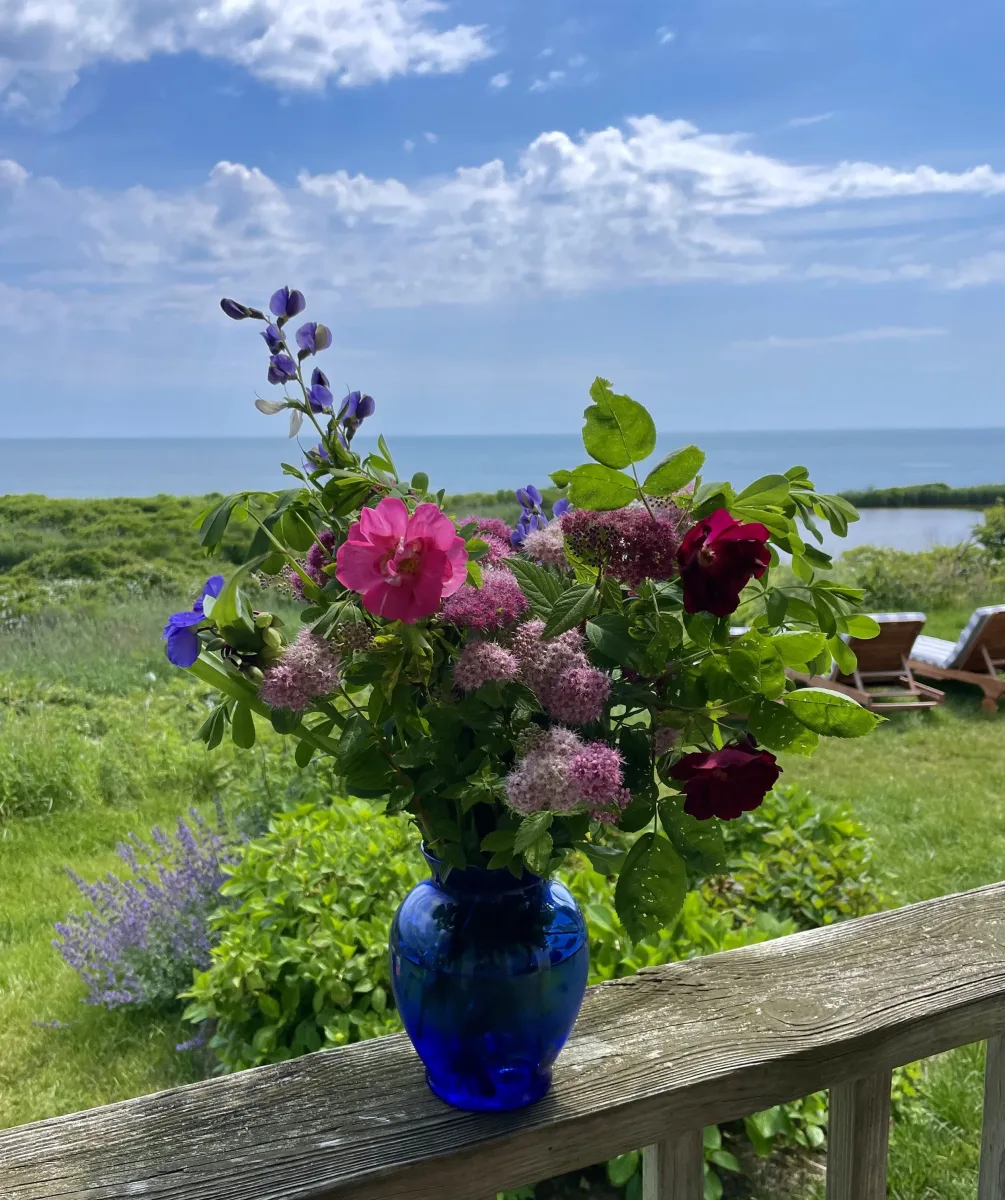 Sea Breeze Inn photo 12