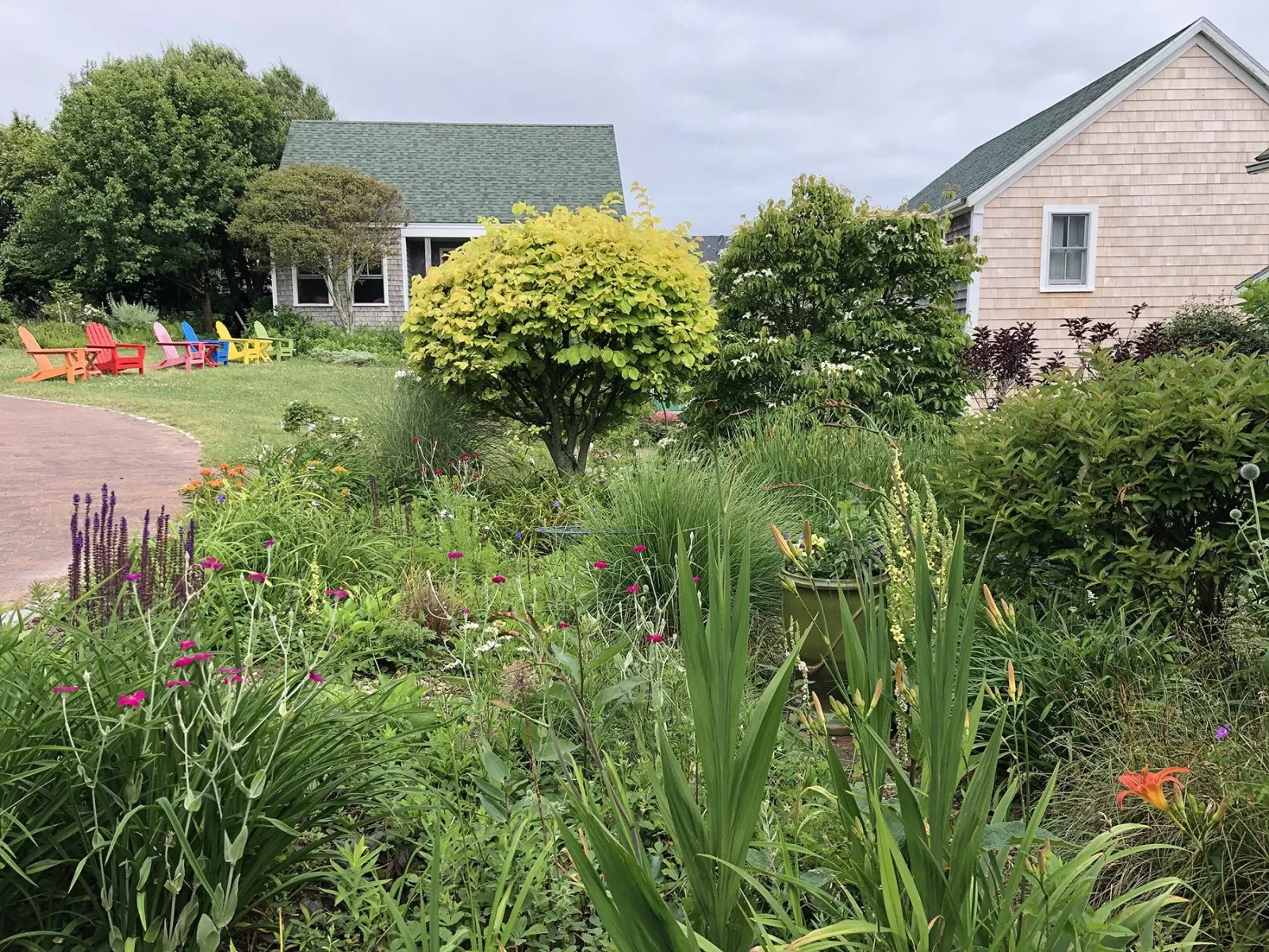 Sea Breeze Inn photo 8