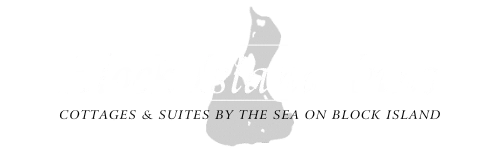 Blue Dory Inn logo
