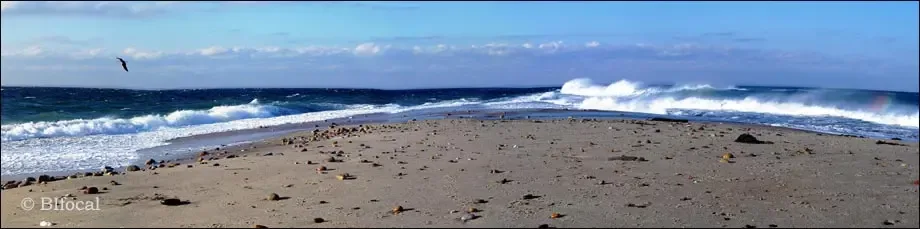 Block Island Realty photo 6