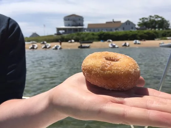Paynes Donuts