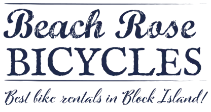 Beach Rose Bicycles Inc. photo 3