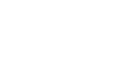 Beach Rose Bicycles Inc. logo