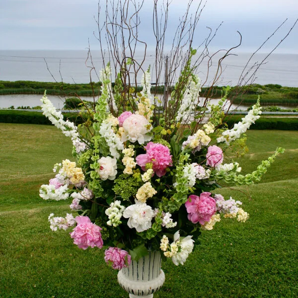 La Bella Rose photo 7