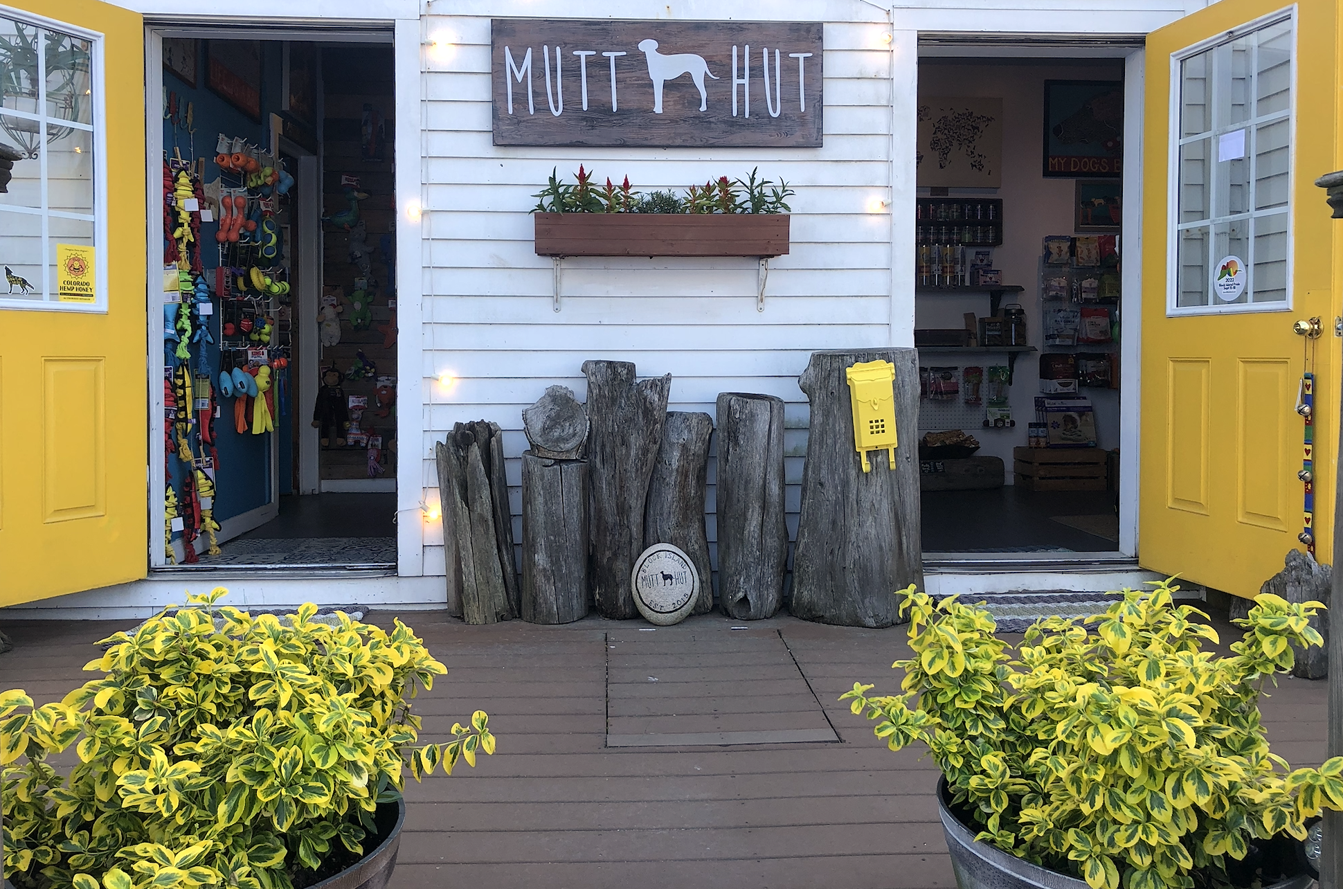 Mutt Hut photo 3