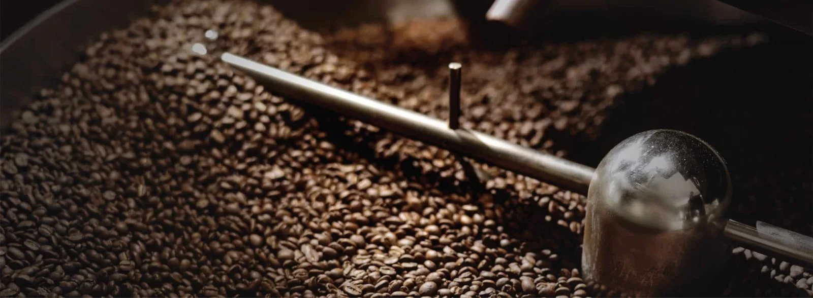 Coffee Project New York | East Village photo 10