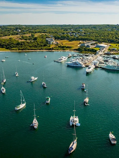 Trader Vic's photo 8
