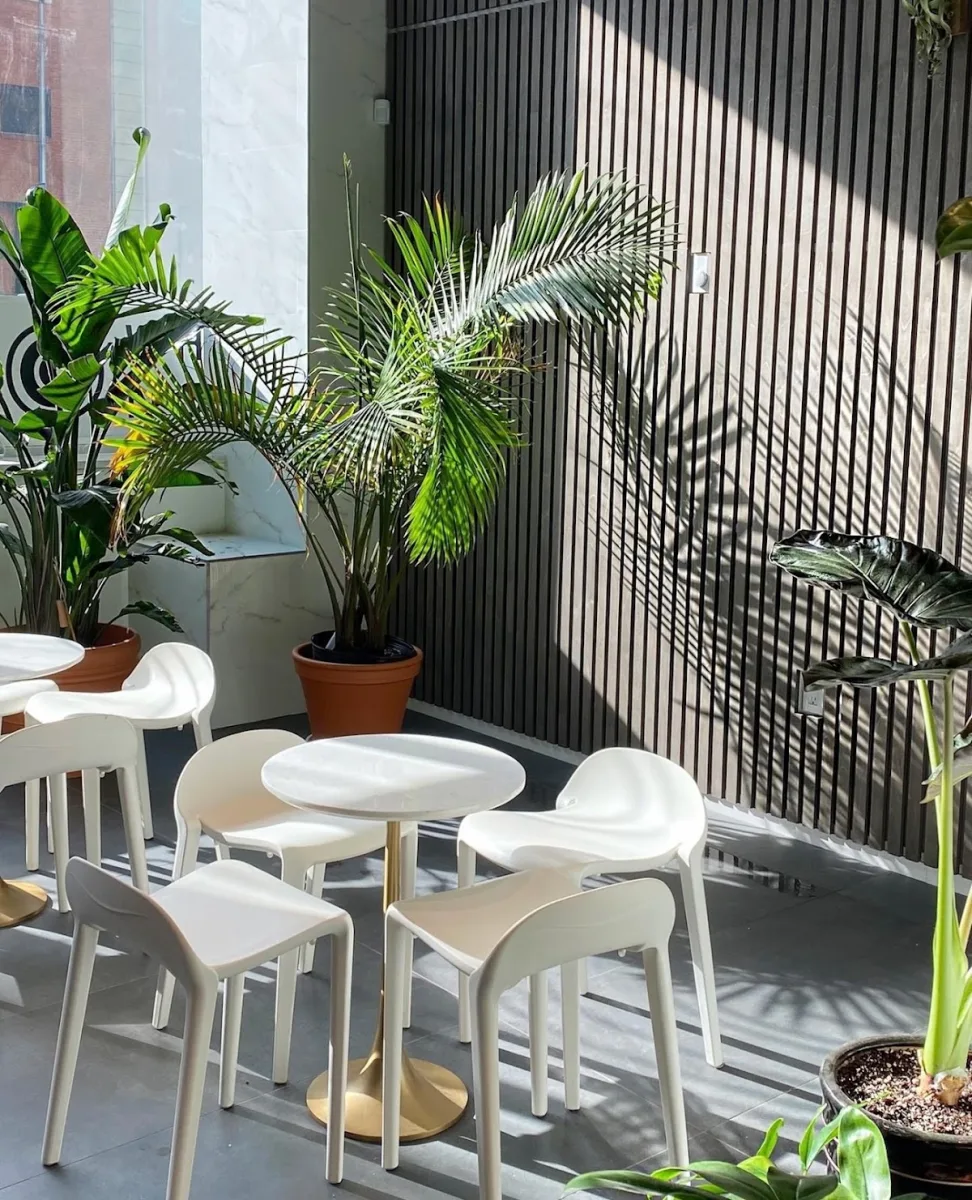 White Noise Coffee - Coffee Shop & Roastery photo 3