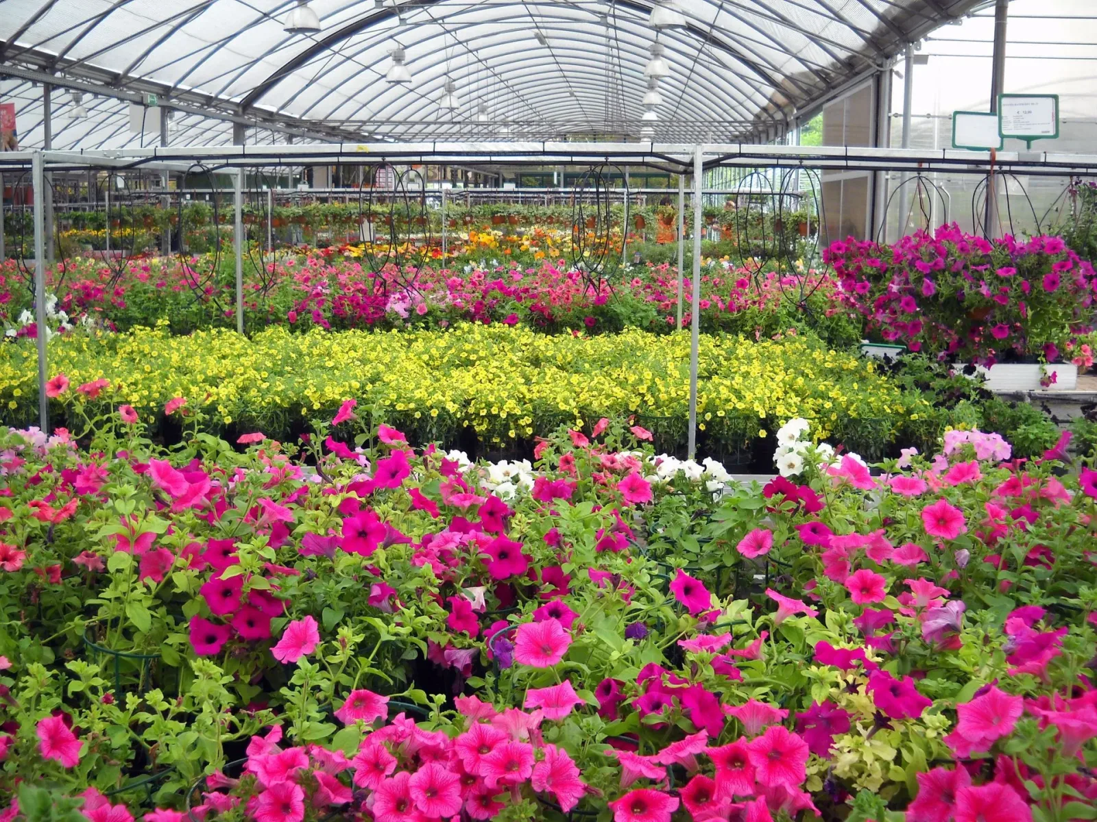 S & S Landscaping photo 7
