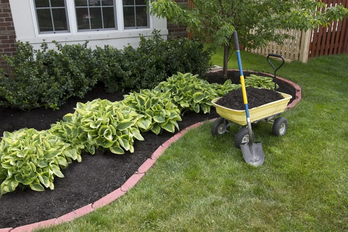 S & S Landscaping photo 5